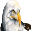 mythic wolf sacred moon eagle symbol