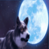 mythic wolf sacred moon wolf symbol