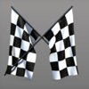 nascash flag symbol