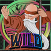naughty ninjas wild symbol
