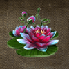 nefertitis gold lotus symbol