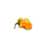 neogames blazing luck chilli 4 symbol