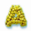 neptunes bounty a symbol