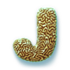 neptunes bounty j symbol
