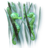 neptunes bounty seahorses symbol