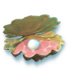 neptunes bounty shell symbol