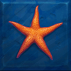 neptunes fortune megaways star symbol