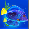 neptunes kingdom blue symbol