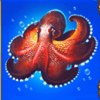 neptunes kingdom octopus symbol