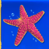 neptunes kingdom star symbol