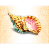neptunes quest shell symbol