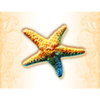 neptunes quest starfish symbol