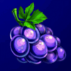 netgame disco fruits grape symbol