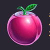netgame fruit burst plum symbol