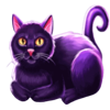 night ghost stories cat symbol