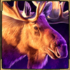 night wolf frozen flames elk symbol