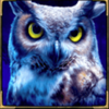 night wolf frozen flames owl symbol