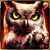 night wolf hold and hit owl symbol