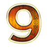 northern raider 9 symbol