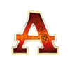 northern raider a symbol