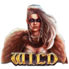 northern raider wild symbol