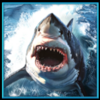 ocean kings shark 1 symbol