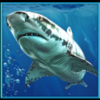 ocean kings shark 2 symbol