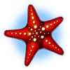ocean magic starfish2 symbol