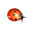 octavian gaming honey bees ladybug symbol