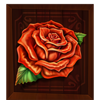 ola diego jumboways rose symbol
