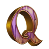 paddys cash q symbol