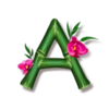 pandastic adventure a symbol