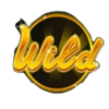 paris city of lights wild symbol