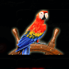 parrot bay macaw symbol