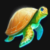 pearl diver 2 turtle symbol