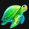 pearl diver turtle symbol