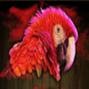 pearl of the caribbean parrot symbol