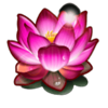 pearl river lotus symbol