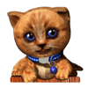 pets pay day cat symbol