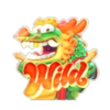 pg soft fortune dragon wild symbol