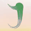 phoenix j symbol