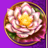 phoenix princess flower symbol