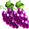 piggy bank coinstorm grape symbol