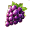 piggy coins grapes symbol