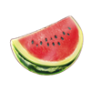 piggy coins watermelon symbol