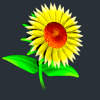 piggy payout sunflower symbol
