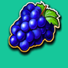 pin up 100 fruits grape symbol