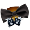 playboy fortunes tie symbol