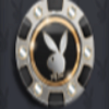 playboy gold chip silver symbol
