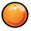 plenty of fruit 40 orange symbol